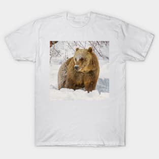 Grizzly is Snow T-Shirt